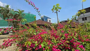 Plot for Sale at Upanga