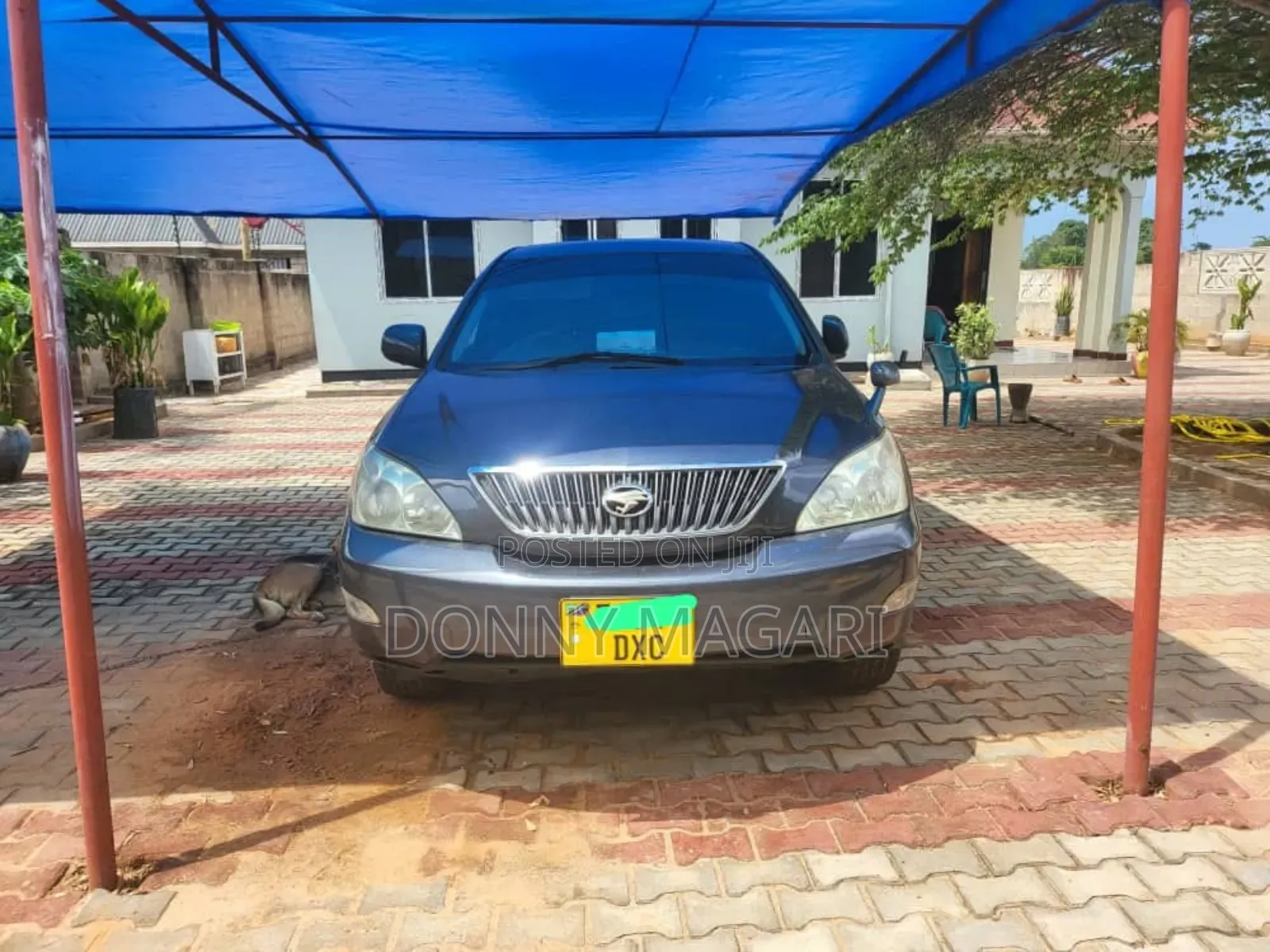 Toyota Harrier 2006 Gray