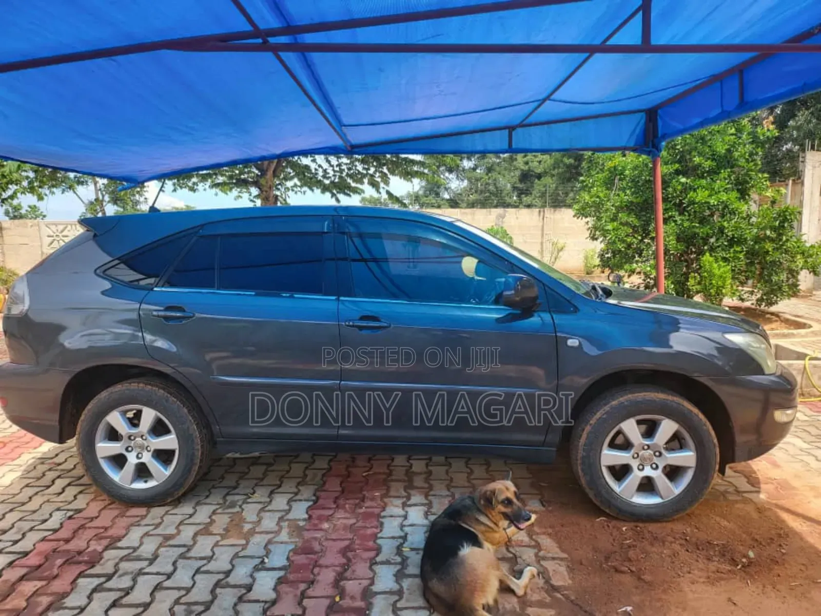 Toyota Harrier 2006 Gray