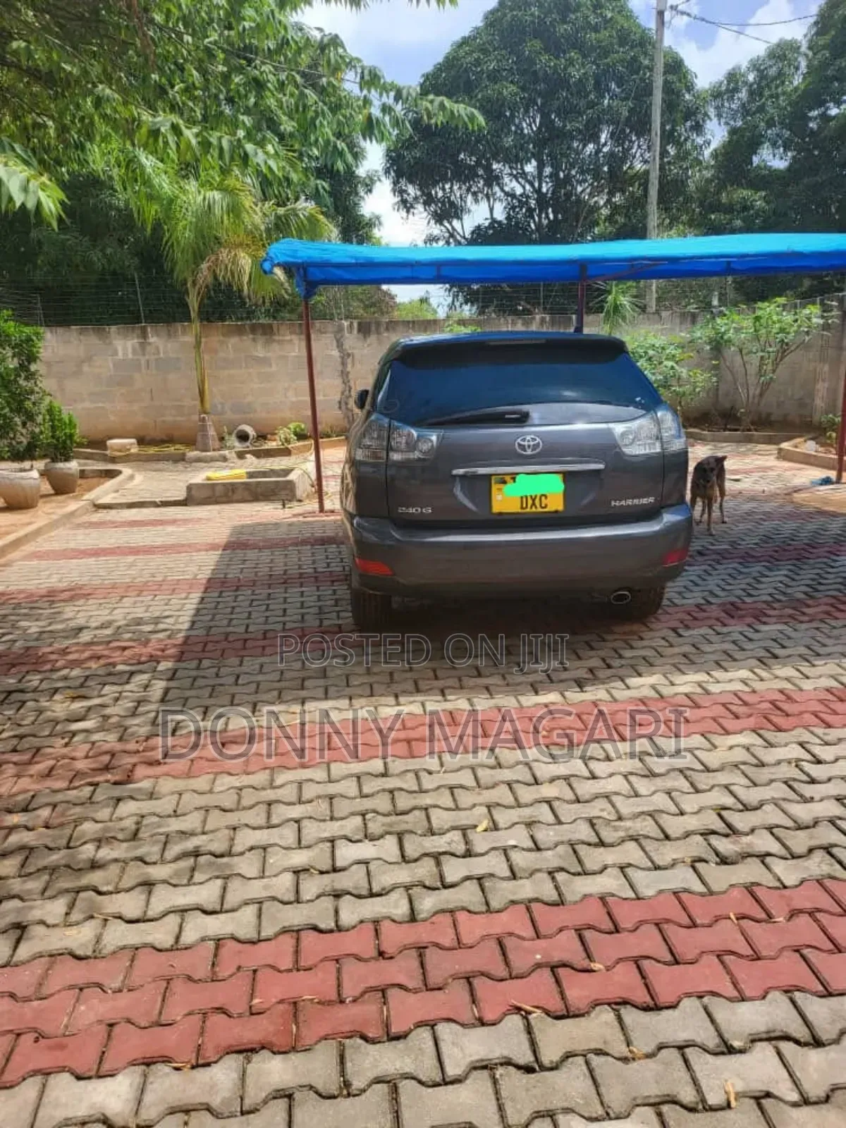 Toyota Harrier 2006 Gray
