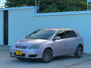 Toyota Allex 2004 Silver