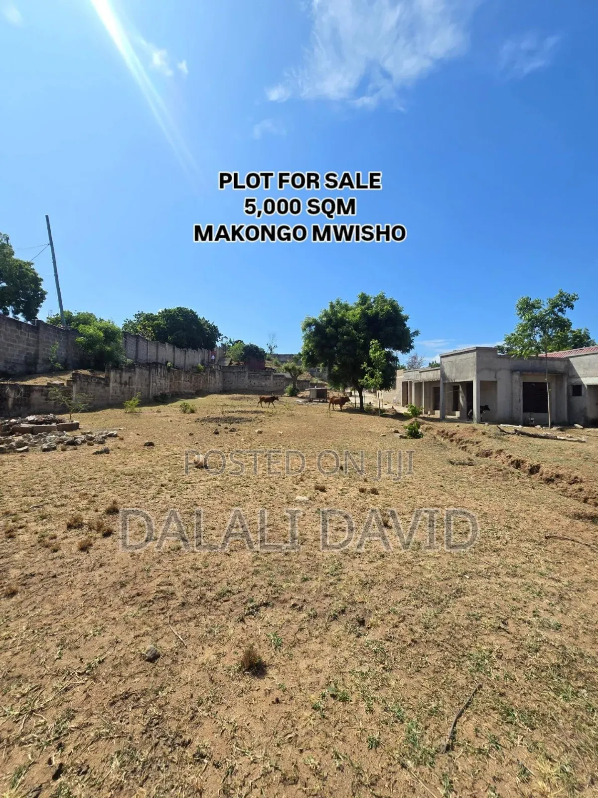 1: 2 Hactres Plot for Sale at Makongo Mwisho