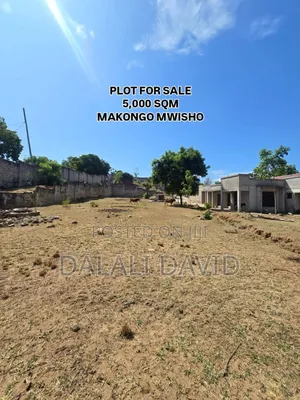 1: 2 Hactres Plot for Sale at Makongo Mwisho