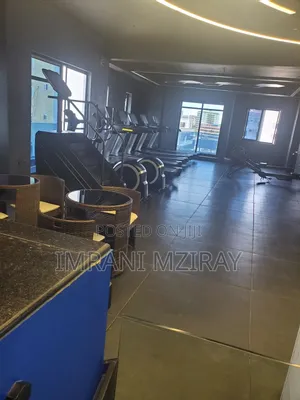 Furnished 3bdrm Apartment in Kariakoo for rent