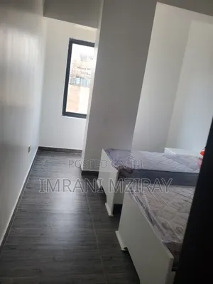 Furnished 3bdrm Apartment in Kariakoo for rent