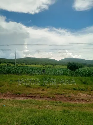 Viwanja Vinauzwa Nduli