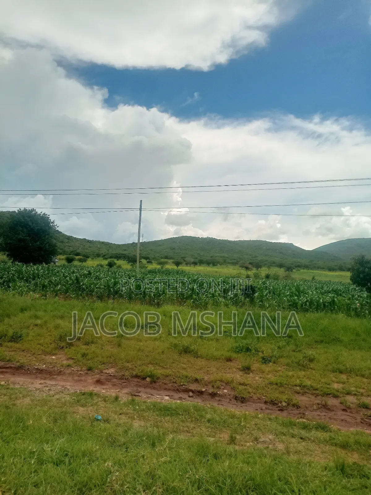 Viwanja Vinauzwa Nduli