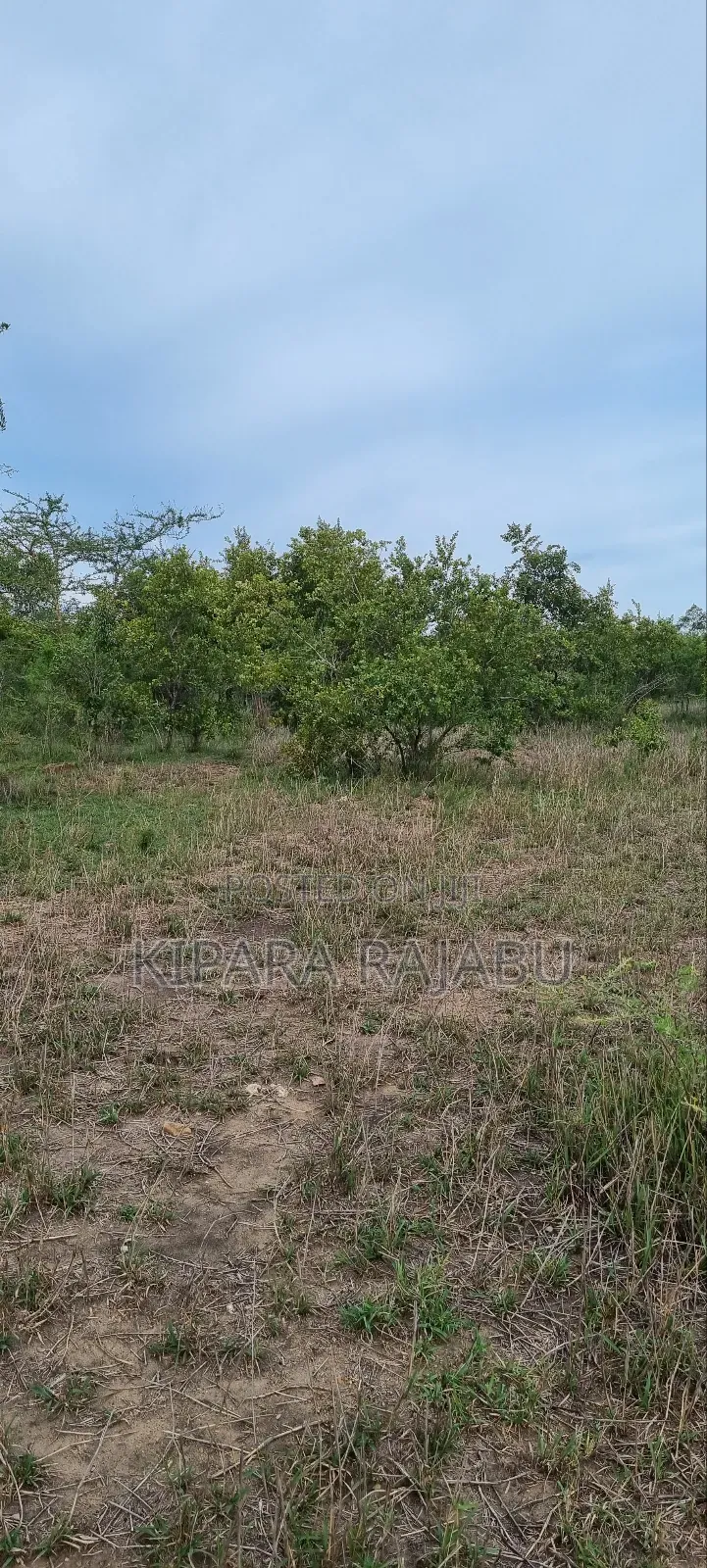 Shamba Rinauzwa Kiwangwa Bagamoyo Pwani