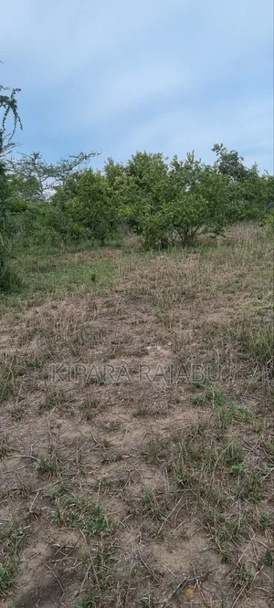Shamba Rinauzwa Kiwangwa Bagamoyo Pwani