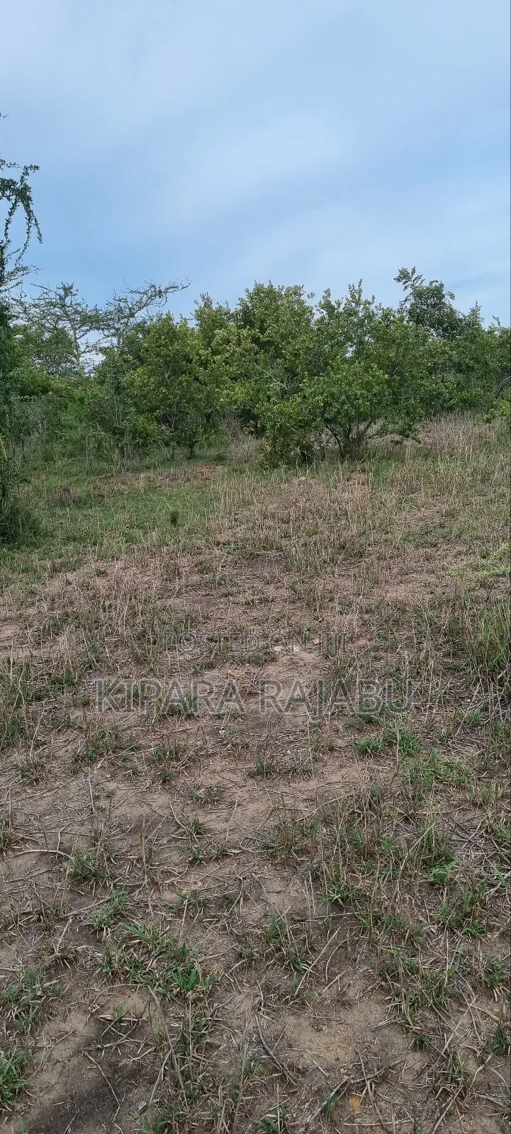 Shamba Rinauzwa Kiwangwa Bagamoyo Pwani