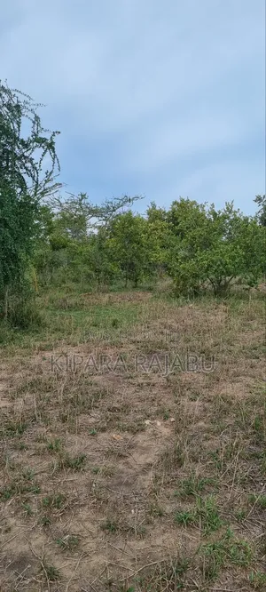 Shamba Rinauzwa Kiwangwa Bagamoyo Pwani