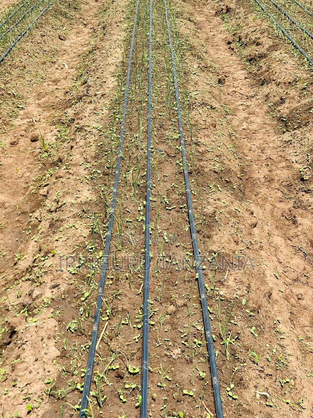 Irrigation Drip Tapes