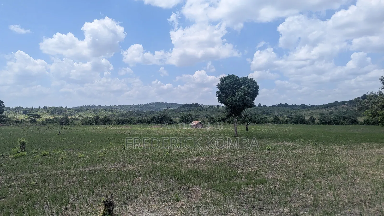 Shamba Acre 5 Linauzwa Msanga Zalala