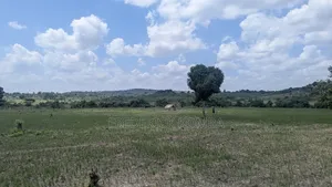 Shamba Acre 5 Linauzwa Msanga Zalala