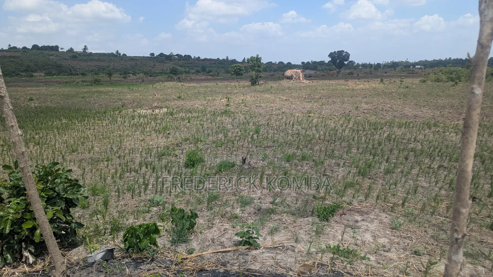 Shamba Acre 5 Linauzwa Msanga Zalala