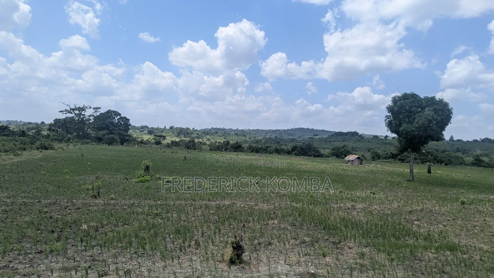 Shamba Acre 5 Linauzwa Msanga Zalala