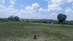 Shamba Acre 5 Linauzwa Msanga Zalala