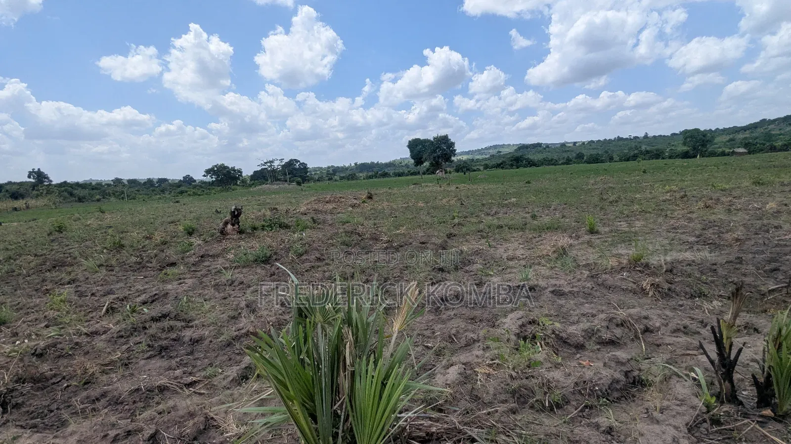 Shamba Acre 5 Linauzwa Msanga Zalala