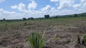 Shamba Acre 5 Linauzwa Msanga Zalala