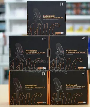 Professional Condensor Microphone