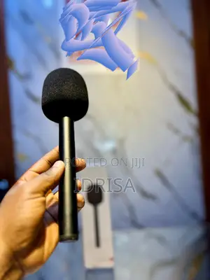 Wireless Microphone Handheld Stick