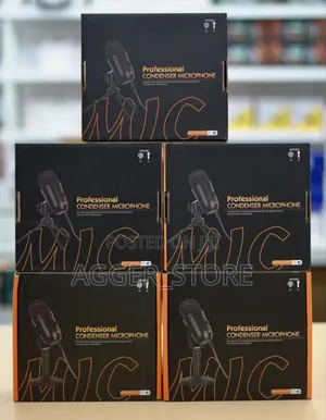 Professional Condensor Microphone