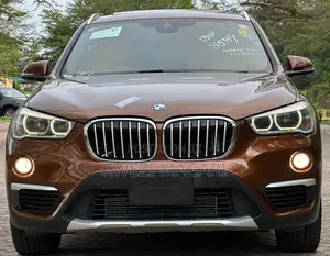 BMW X1 2015 Brown