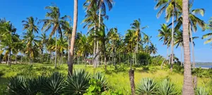 2bdrm House in Tangasisi for sale