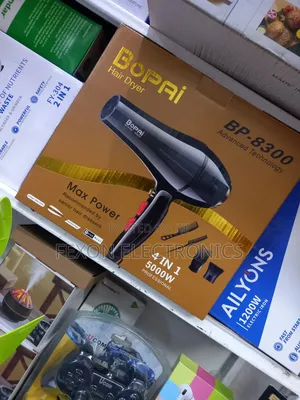 Electric Hair Dryer