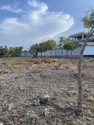 Eka 9.5 Beach Plot Inauzwa Kigamboni