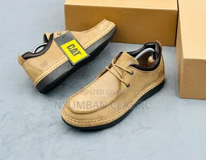 Low Cat Casual Caterpillar Shoes