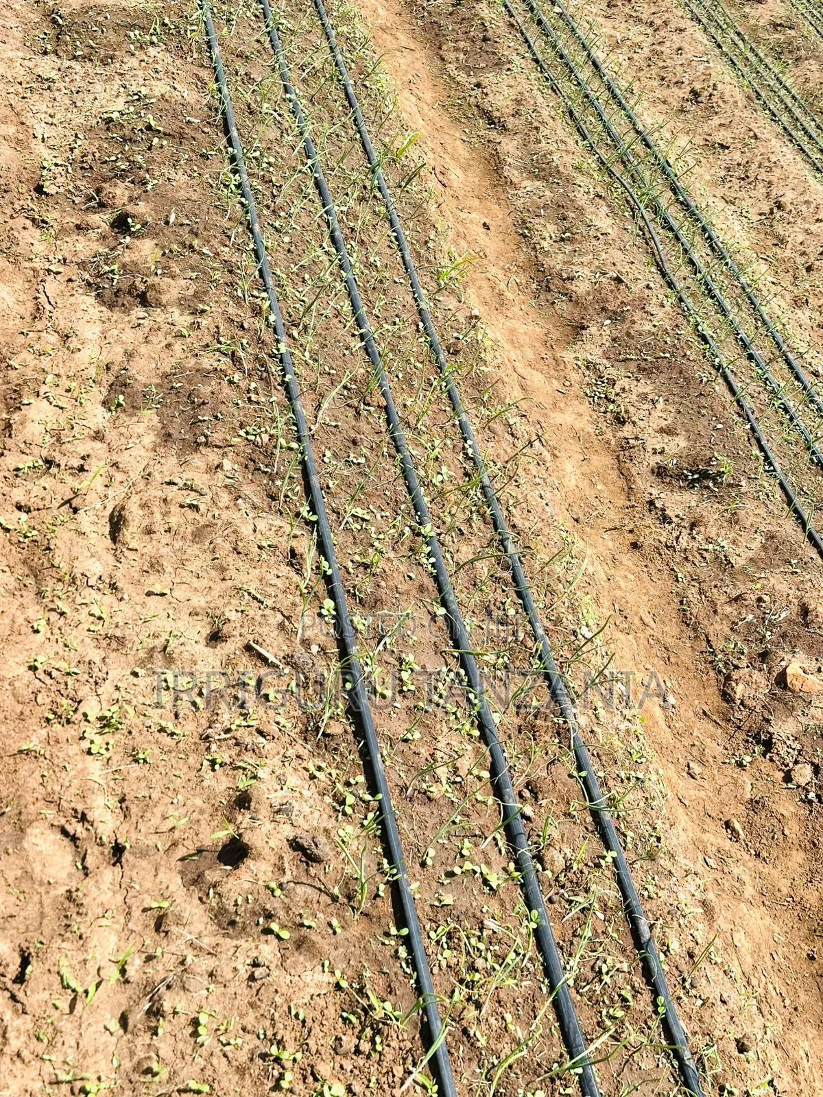 1000 Mm Hose Irrigation System