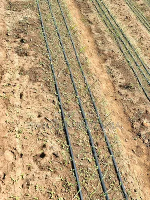 1000 Mm Hose Irrigation System