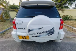 Toyota RAV4 2002 White
