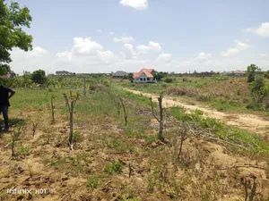 Cheap Plot for Sale Bunju