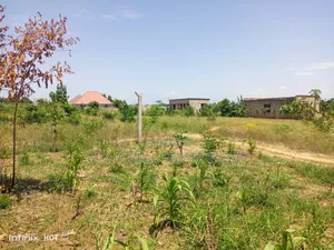 Cheap Plot for Sale Bunju