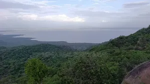 100 Acres for Sale in Endallah Karatu
