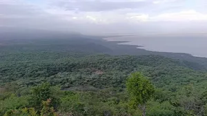 100 Acres for Sale in Endallah Karatu
