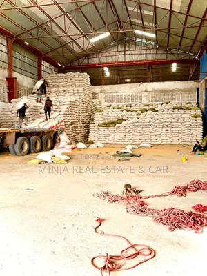 Sesame (Ufuta) for Sale in Dar Es Salaam Tanzania