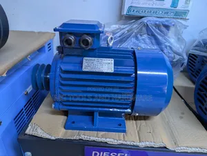 Electric Motor