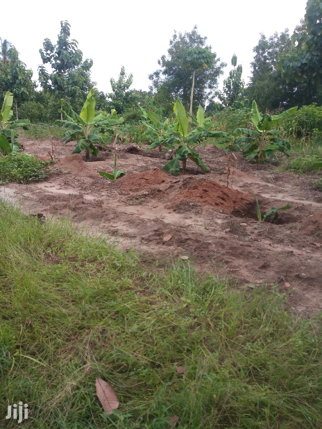 Plot For Sale