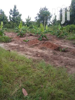 Plot For Sale