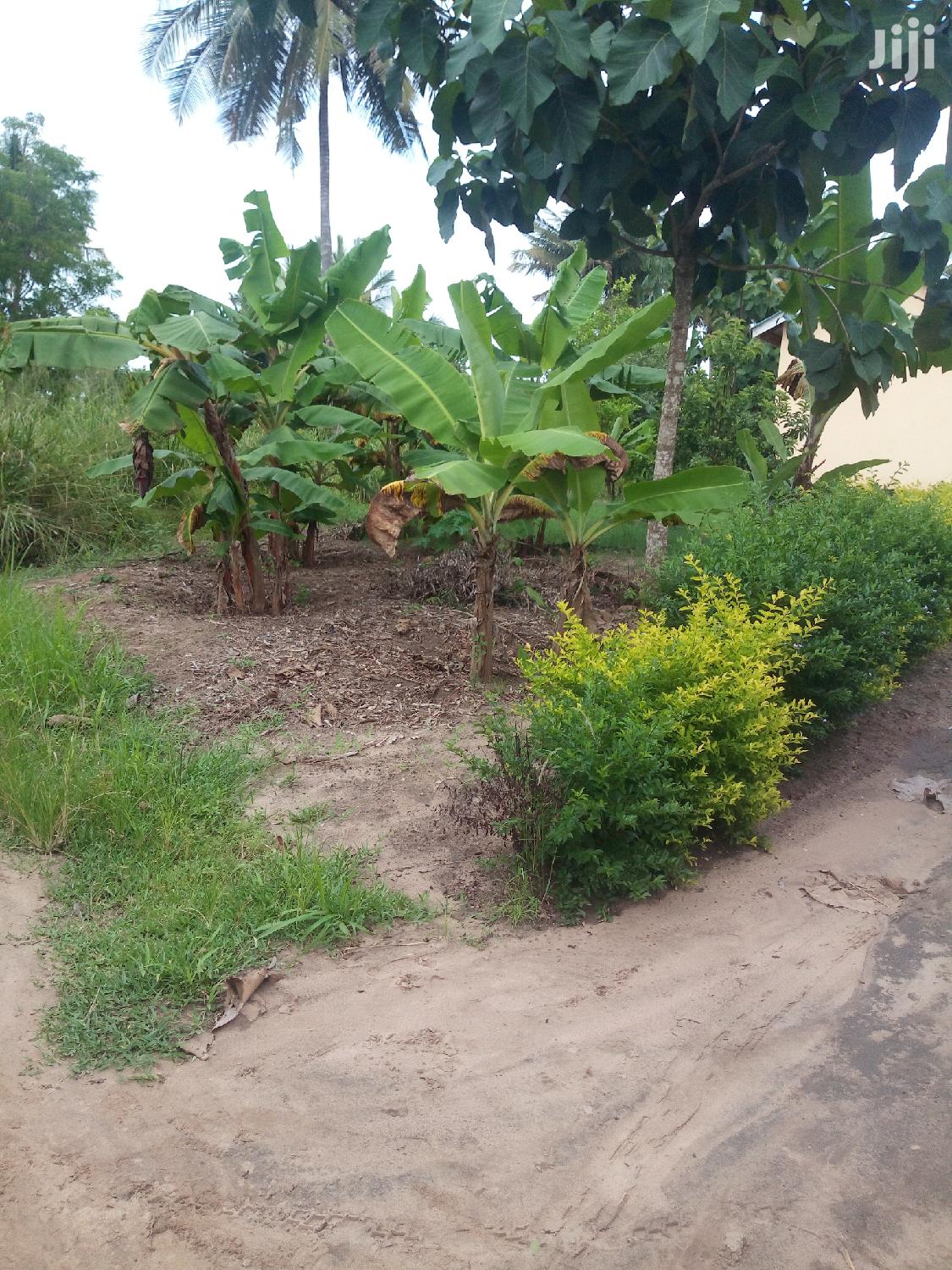 Plot For Sale