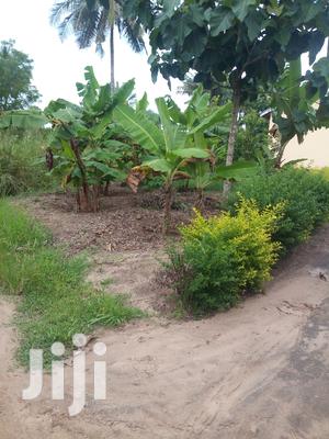 Plot For Sale