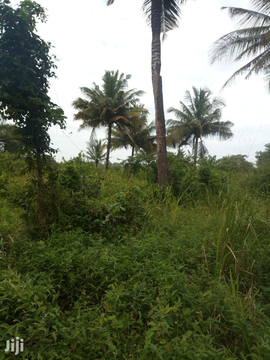Plot For Sale