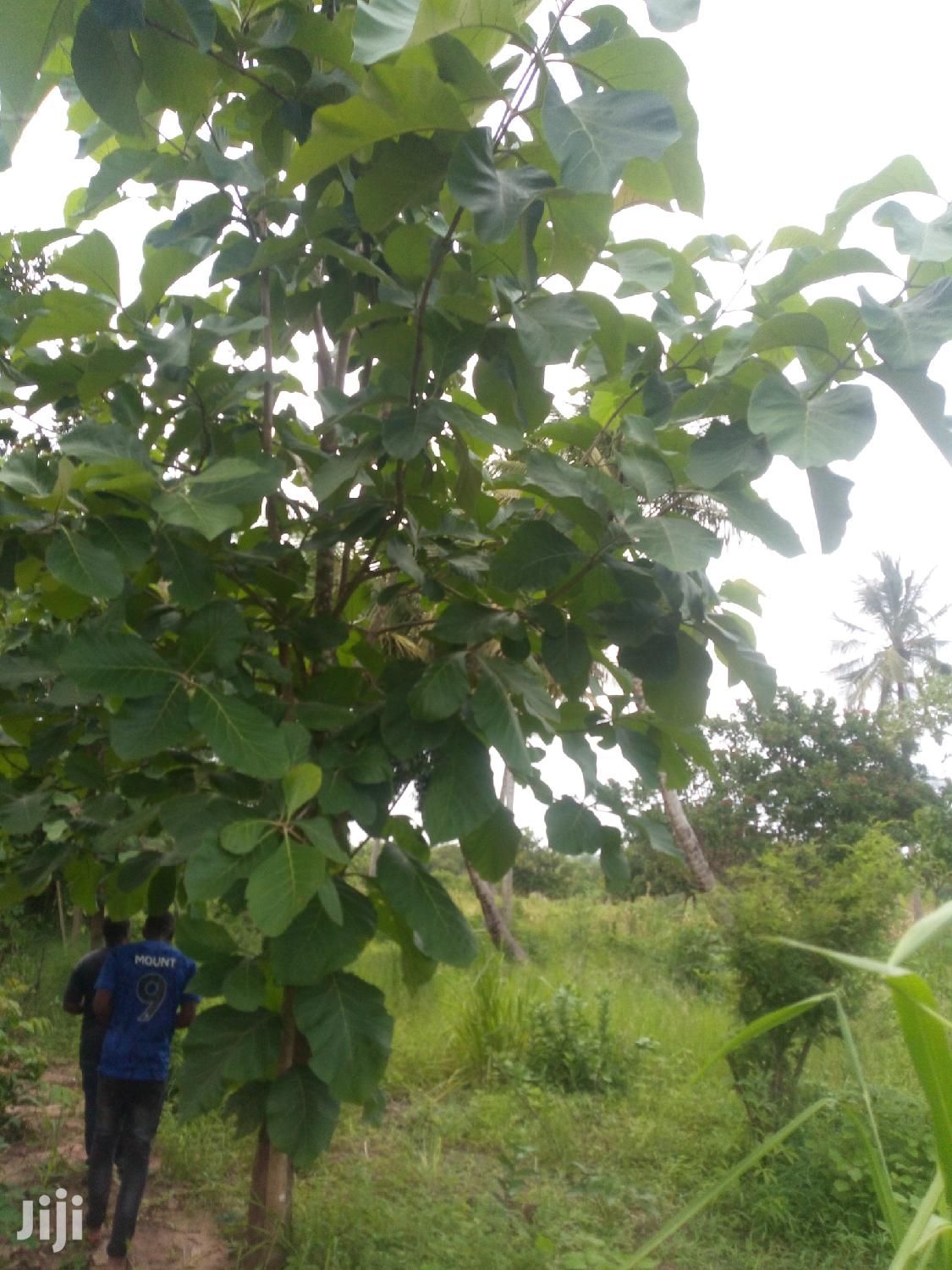 Plot For Sale
