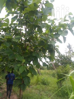 Plot For Sale