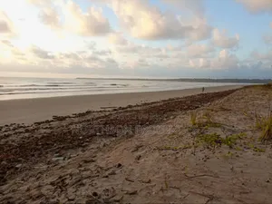 Beach at Pangani Town