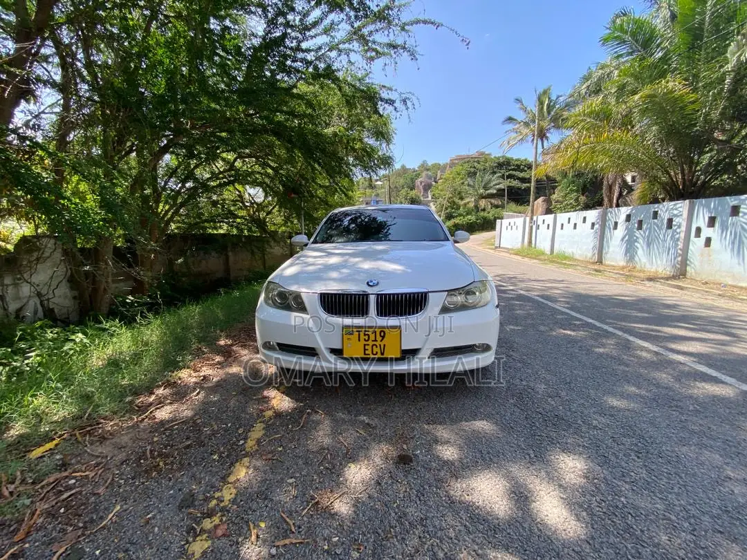 BMW 3 Series 2006 White