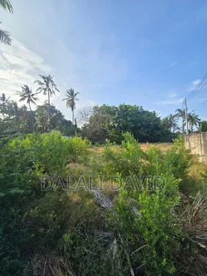 Beach Plot for Sale at Bahari Beach